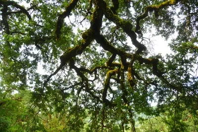 DSC_6809 (Large).JPG